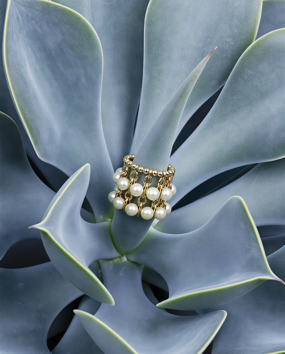 Accessories campaign