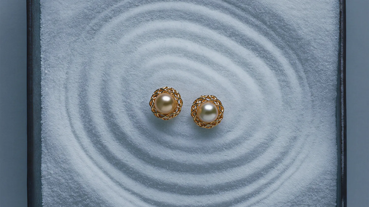 Accessories campaign