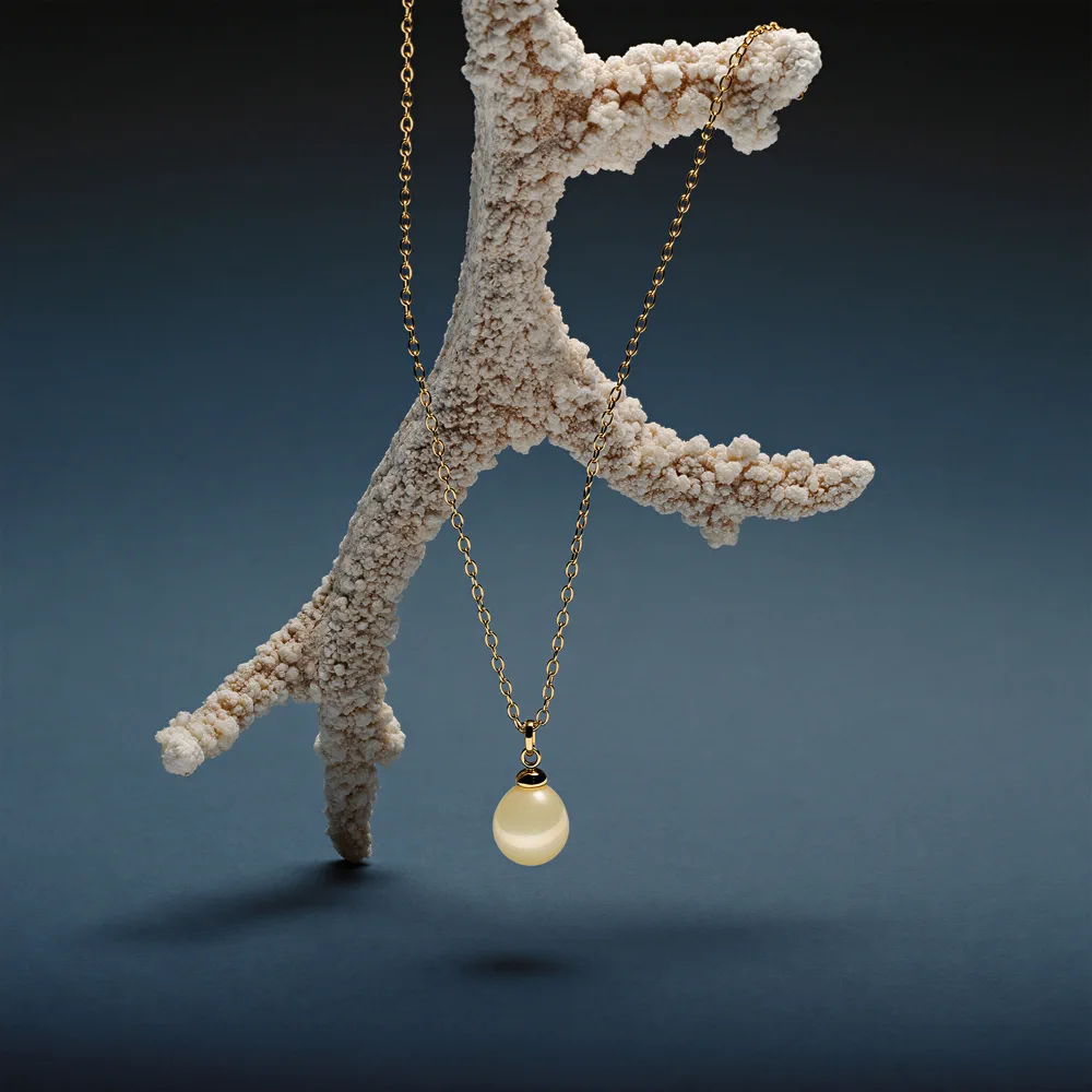 Accessories campaign